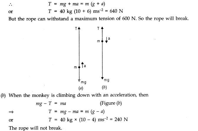 NCERT Solutions for Class 11 Physics Chapter 5 Laws of Motion Q33