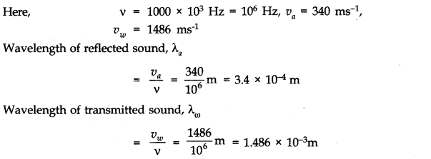NCERT Solutions for Class 11 Physics Chapter 15 Waves Q6