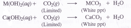NCERT Solutions for Class 11 Chemistry Chapter 10 The s-Block Elements 21