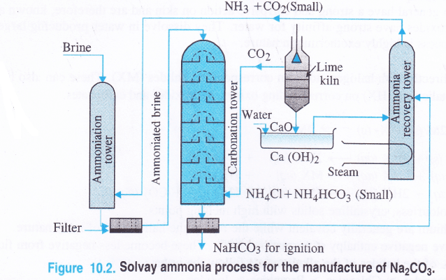 NCERT Solutions for Class 11 Chemistry Chapter 10 The s-Block Elements 33