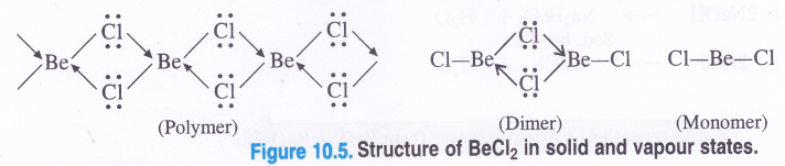 NCERT Solutions for Class 11 Chemistry Chapter 10 The s-Block Elements 54