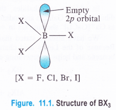 NCERT Solutions for Class 11 Chemistry Chapter 11 The p-Block Elements 1