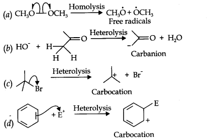 NCERT Solutions for Class 11th Chemistry Chapter 12 Organic Chemistry Some Basic Principles and Techniques Q16.1