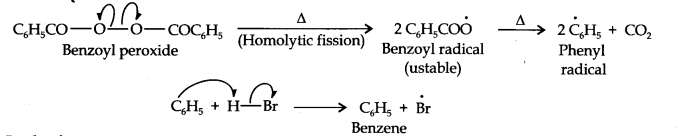 NCERT Solutions for Class 11 Chemistry Chapter 13 Hydrocarbons Q16.1