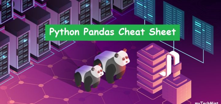 Python Pandas Basics Cheat Sheet